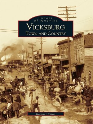 Vicksburg - ebook